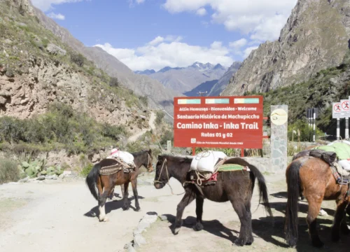 Camino Inca a Machu Picchu 4 días
