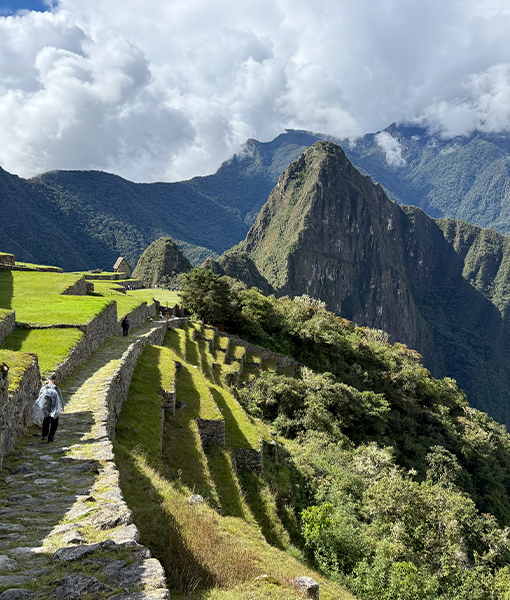 Ciudadela de Machu Picchu