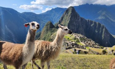 Best Guided Tours to Machu Picchu: What Travelers Need to Know