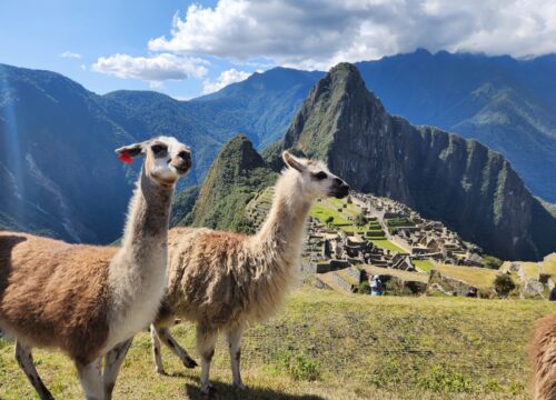 Best Guided Tours to Machu Picchu: What Travelers Need to Know