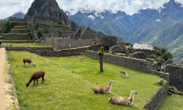 Machu Picchu and Galapagos Tours: Ultimate South America Packages