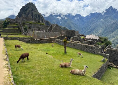 Machu Picchu and Galapagos Tours: Ultimate South America Packages