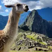machu picchu guided tour