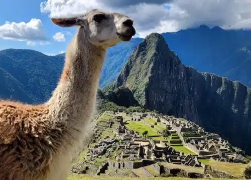 Best Guided Tours to Machu Picchu in Peru