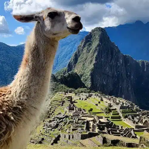 Best Guided Tours to Machu Picchu in Peru