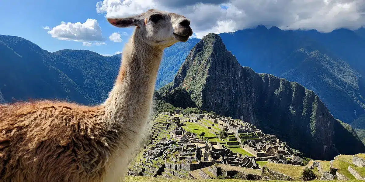 machu picchu guided tour