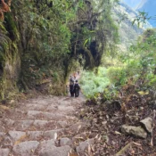 machu picchu tour guide