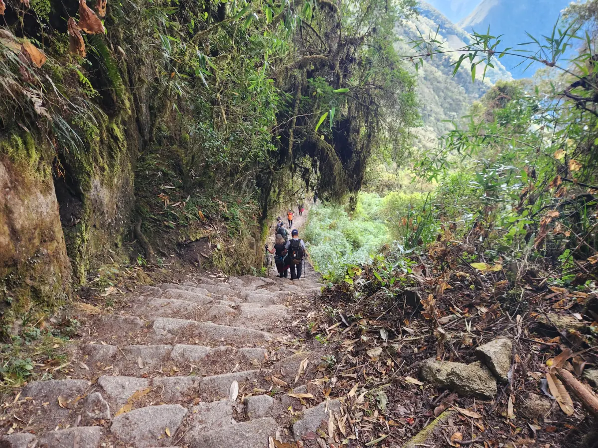 machu picchu tour guide