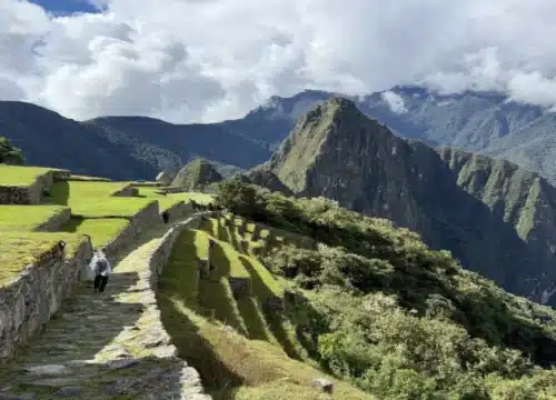 Machu Picchu Tour Packages from Cusco